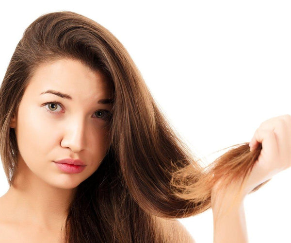 Do Hairdressers Or Barbers Prefer Clean Hair Japan Scissors do-hairdressers-or-barbers-prefer-clean-hair-japan-scissors