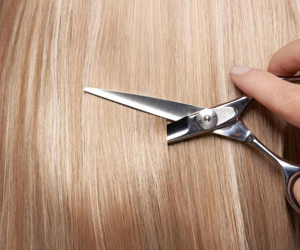 Slide Haircutting The Slide Hair Cutting Technique Guide Japan Scissors