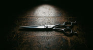 Professional hair cutting scissors on dark wood - how to tell if your scissors are sharp enough