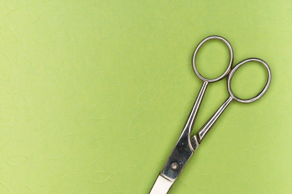 Hair Scissor Articles: Brands, Shears and Blades – Japan Scissors